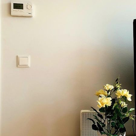 Near Lake Two Bedroom Fully Furnished Apartment Wien Eksteriør bilde